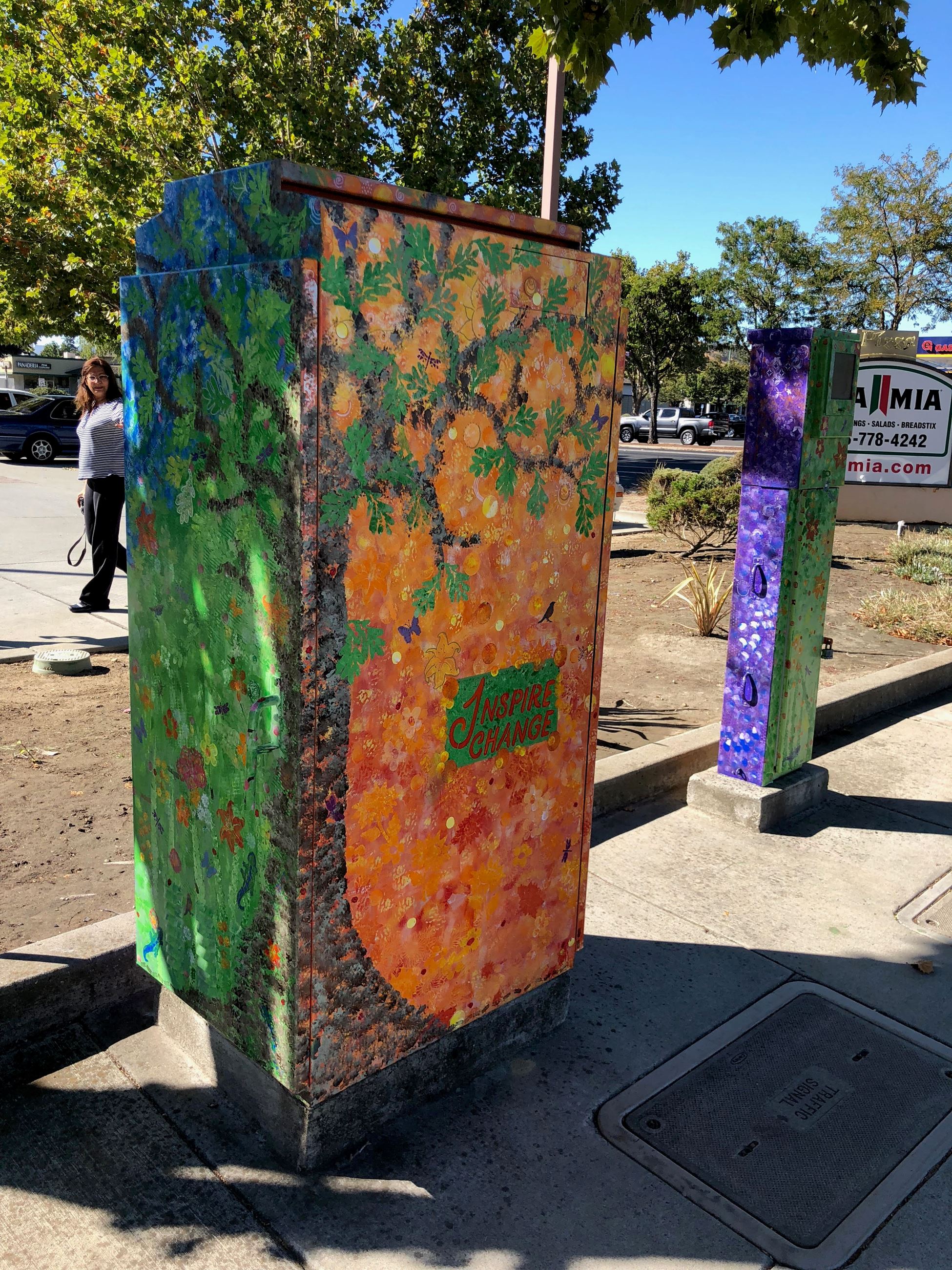Inspire Change Utility Box