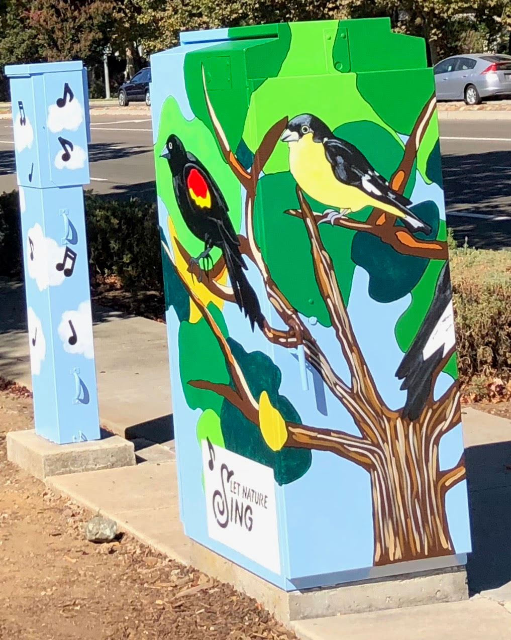 Let Nature Sing Utility Box