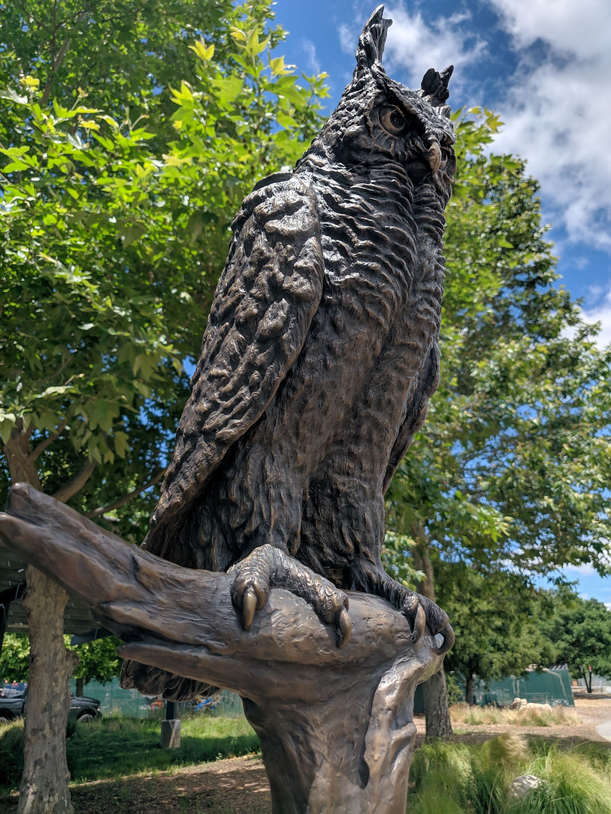 Loki the Owl Bronze Sculpture by Evelyn Davis at Centennial Recreation Center