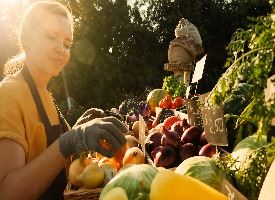Local Farming and Vendors at Farmers' Market