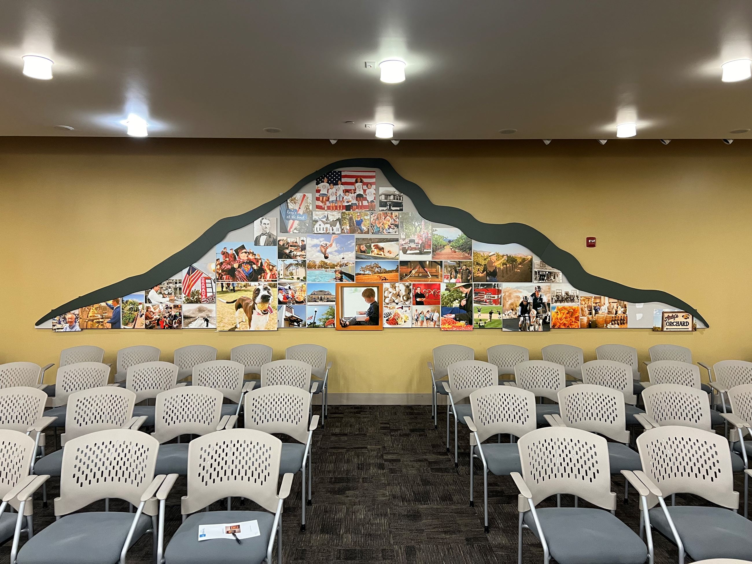 Collage in the Shape of el Toro in City Hall