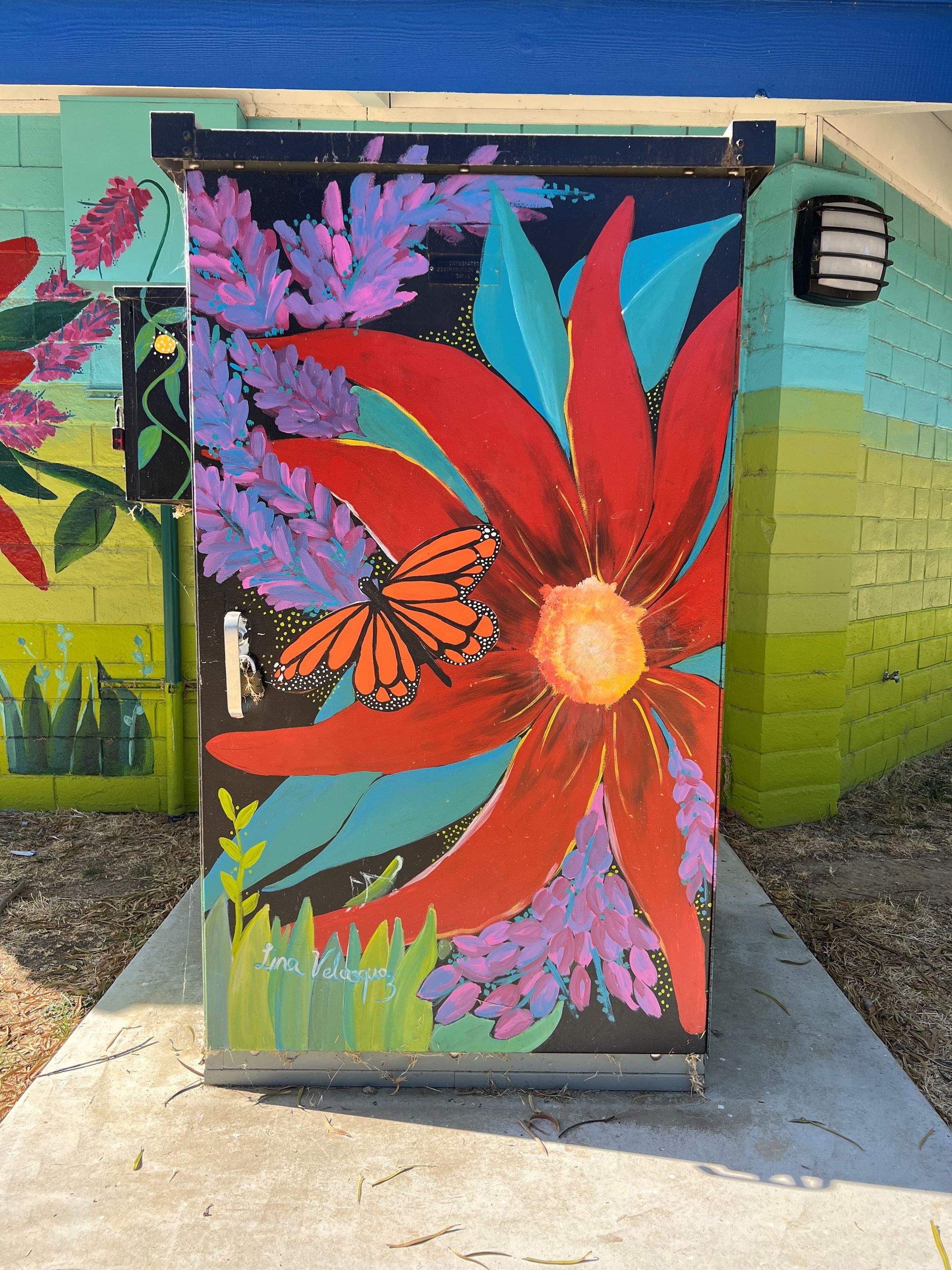 Utility Box Art at Community Park