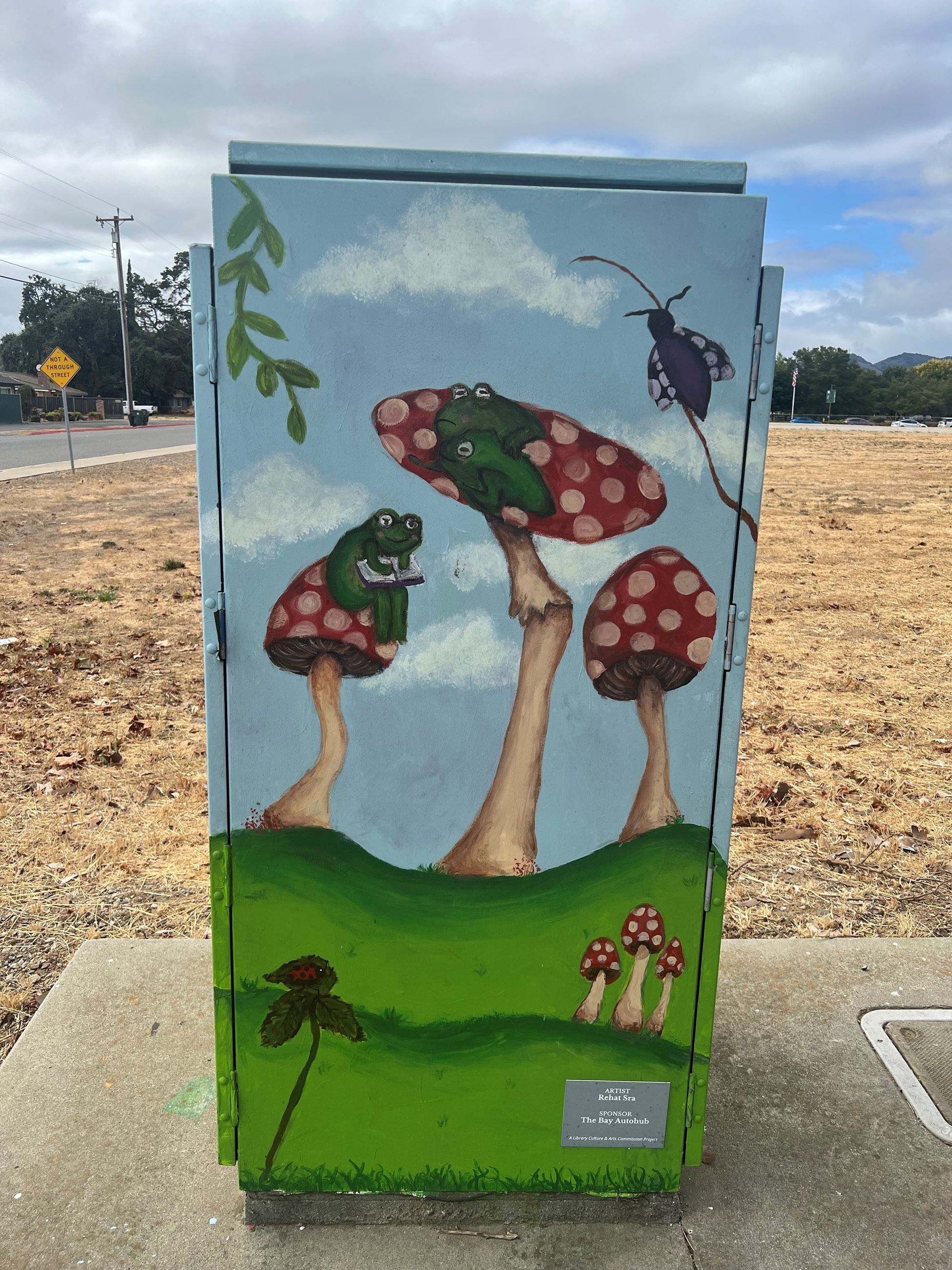 Utility Box There's So Mushroom for Humanity