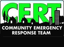 CERT Logo Brighter Green