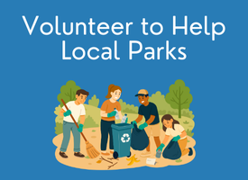 Parks Volunteer 4
