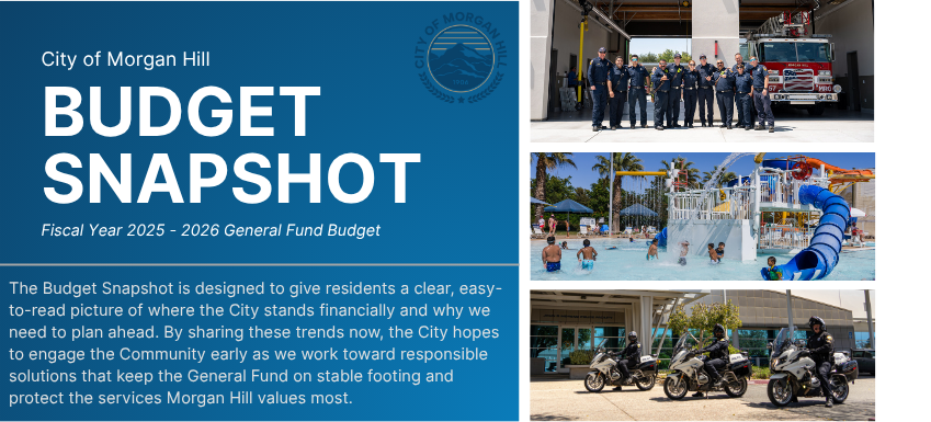 Budget Snapshot Graphic Image